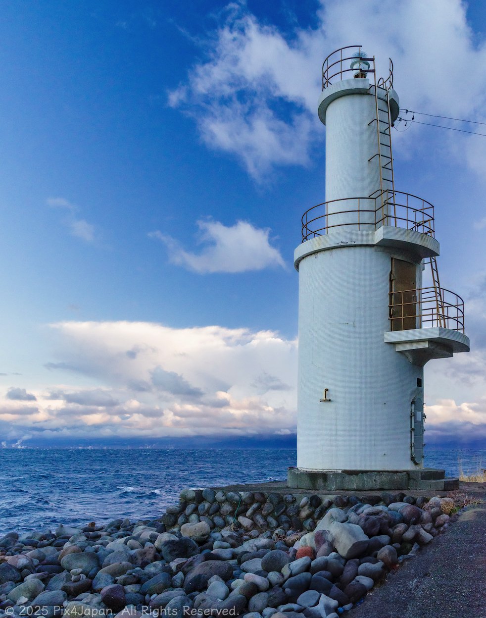 A Lighthouse, A Loyal Companion, and the Call of Suruga Bay・愛犬